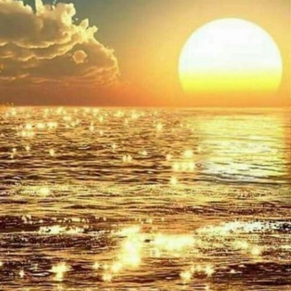 Meet your Posher, N.STANFORD